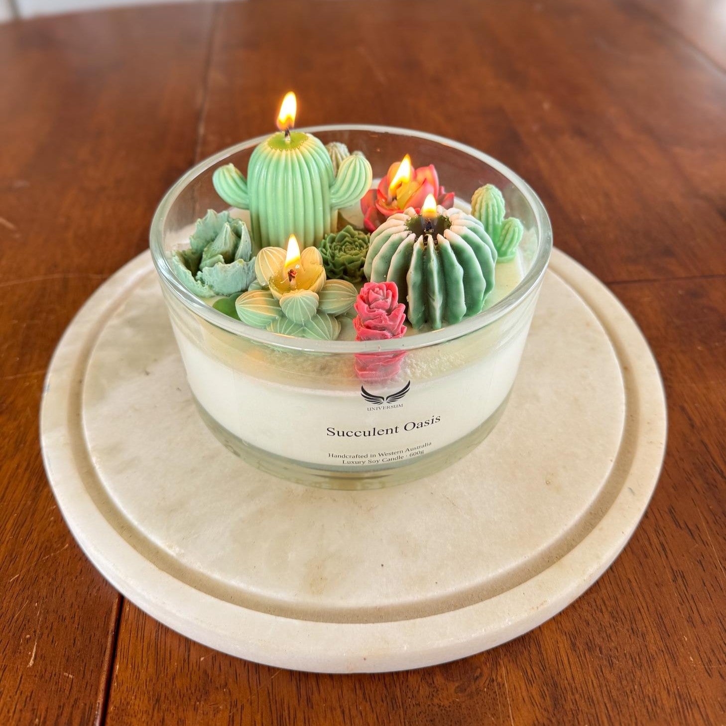 Succulent Oasis (XL)